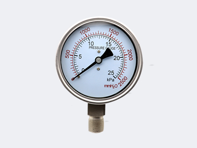 YE-100 BF 不銹鋼膜盒壓力表